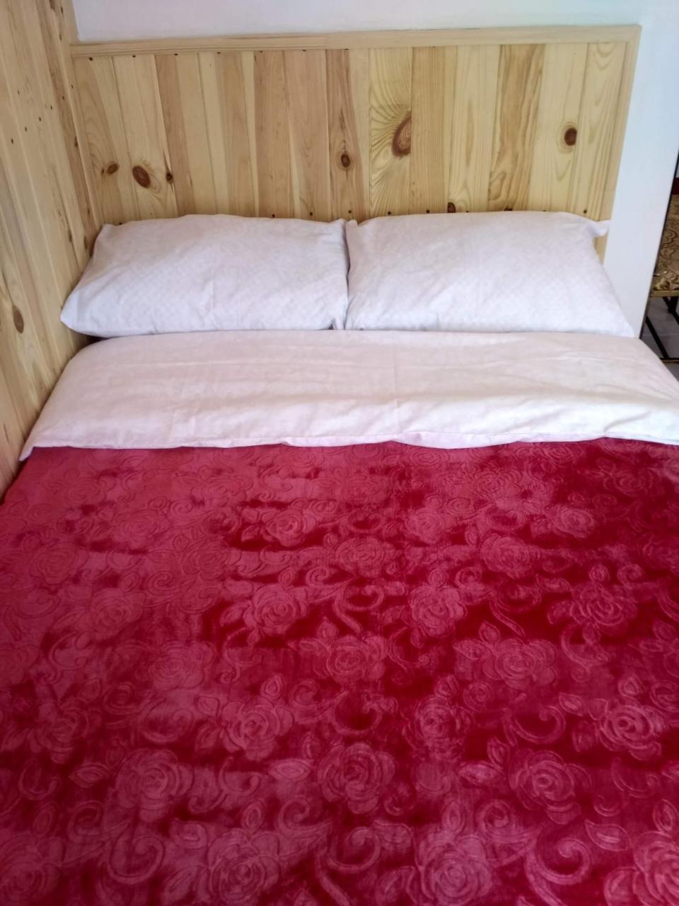 Mini-Hotel Kamianets Extérieur photo